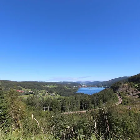 H&p Touristik Residenz Grafenmatt Gra-1-1 * Feldberg (Baden-Wurttemberg)