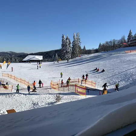 Apartamento H&p Touristik Residenz Grafenmatt Gra-1-1 Feldberg (Baden-Wurttemberg)